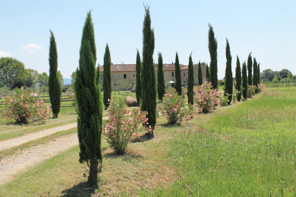 Il Grifone A Cortona Residence Экстерьер фото