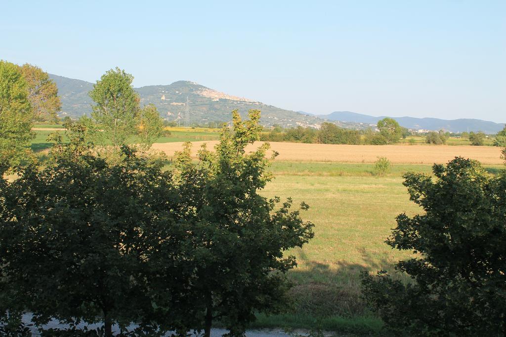 Il Grifone A Cortona Residence Экстерьер фото