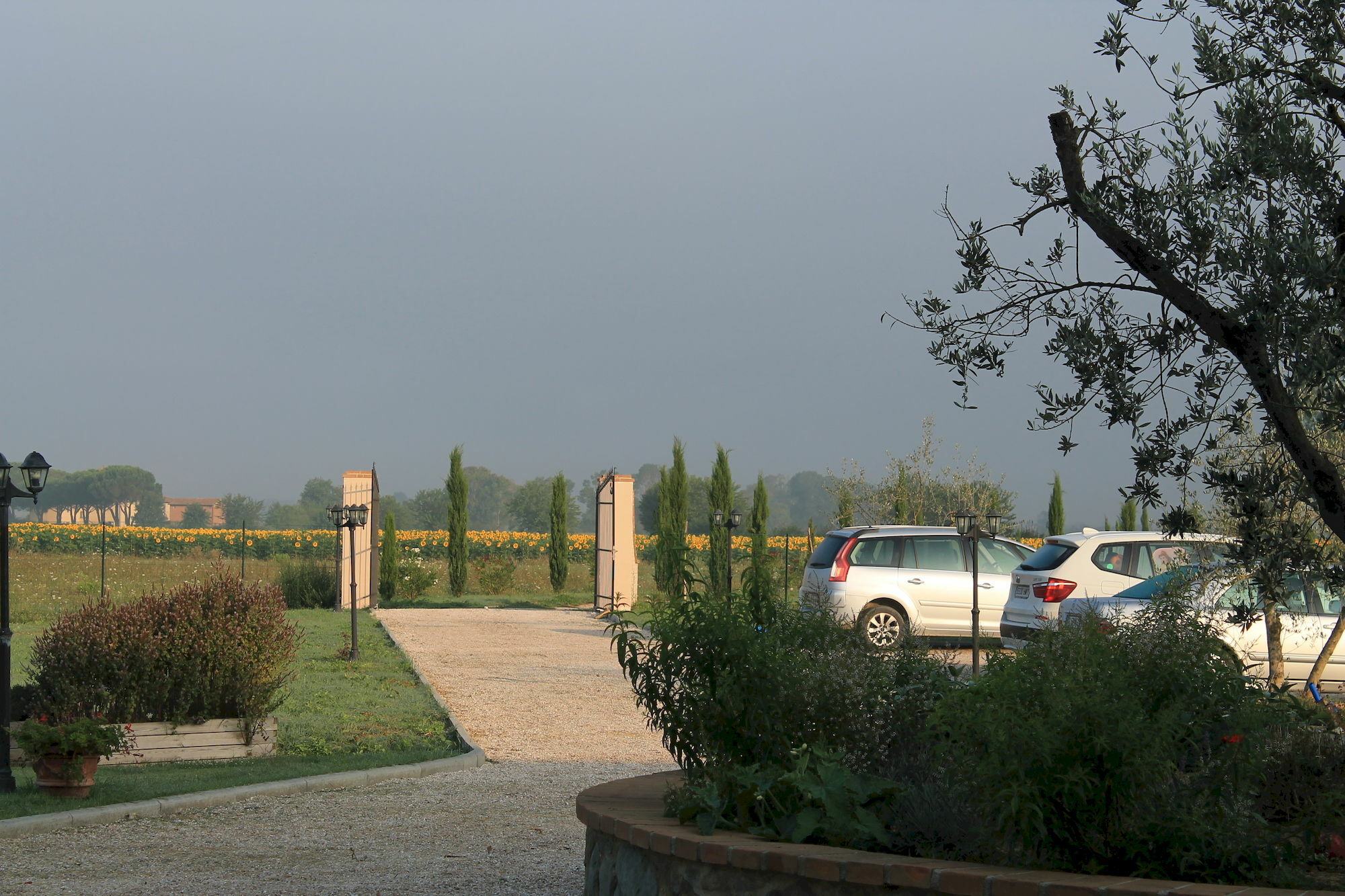 Il Grifone A Cortona Residence Экстерьер фото